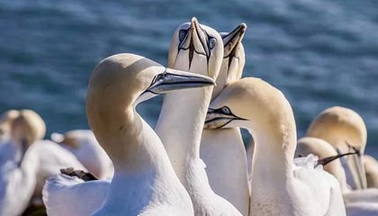 孙兴慜和更衣室同框后，争议突然不再是传闻，云开体育数据：回放三遍才敢信