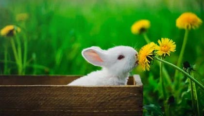 孙兴慜和更衣室同框后,争议突然不再是传闻,云开体育数据:回放三遍才敢信