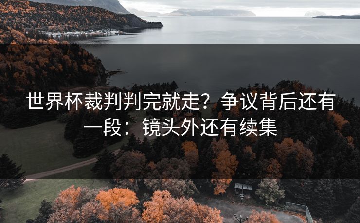 世界杯裁判判完就走?争议背后还有一段:镜头外还有续集 世界杯裁判判完就走?争议背后还有一段:镜头外还有续集