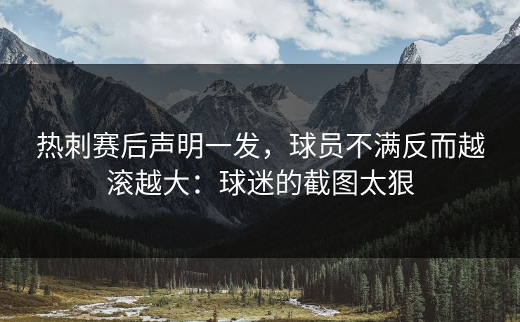 热刺赛后声明一发,球员不满反而越滚越大:球迷的截图太狠